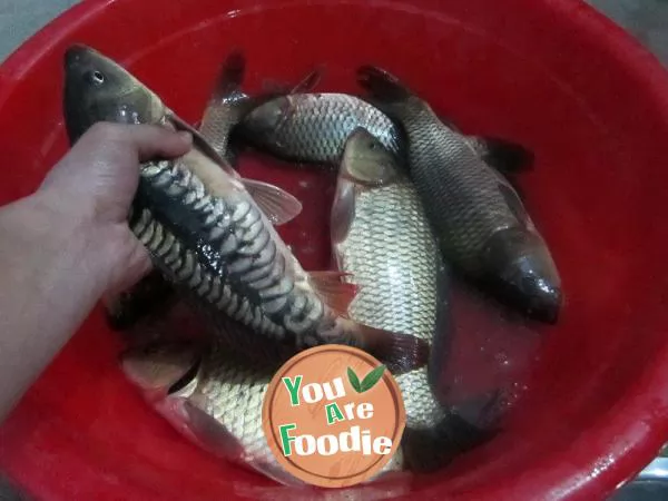 Stewed carp