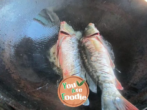 Stewed carp