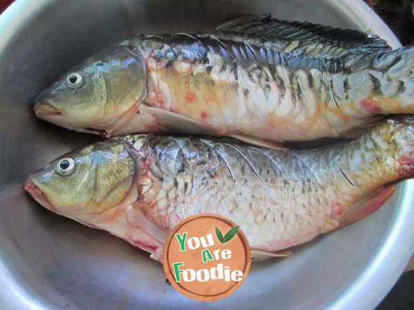 Stewed carp