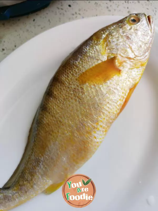 Steamed Yellow Croaker
