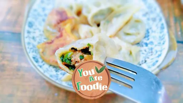Fried dumplings with leek and meat
