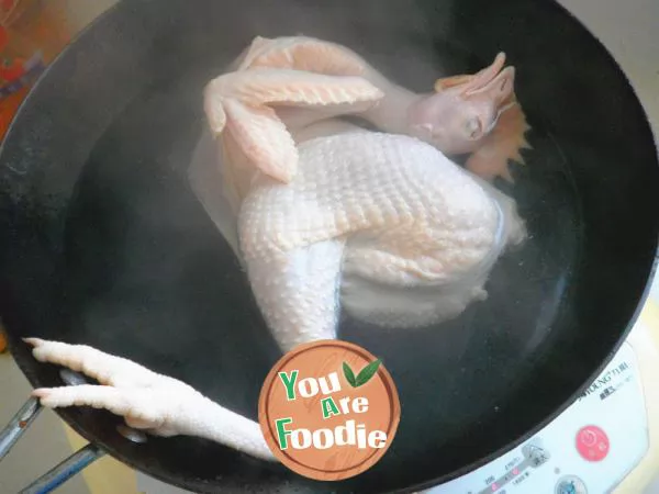 chicken soup