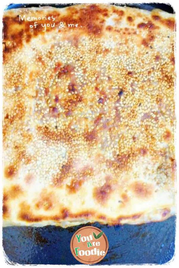 Crispy beef patty