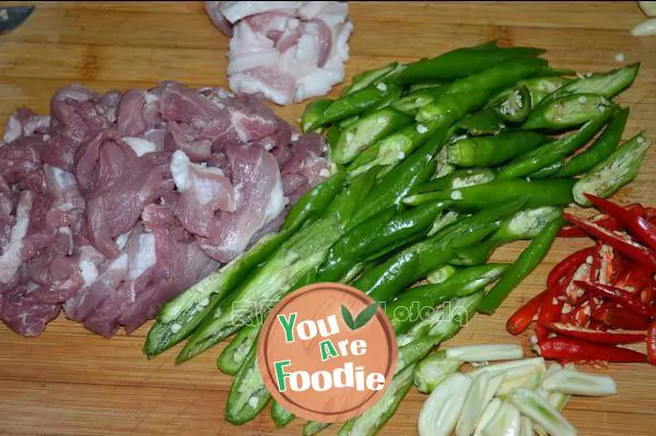 Farmhouse fried meat
