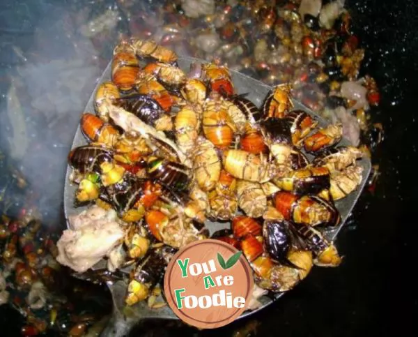Stir fried insects