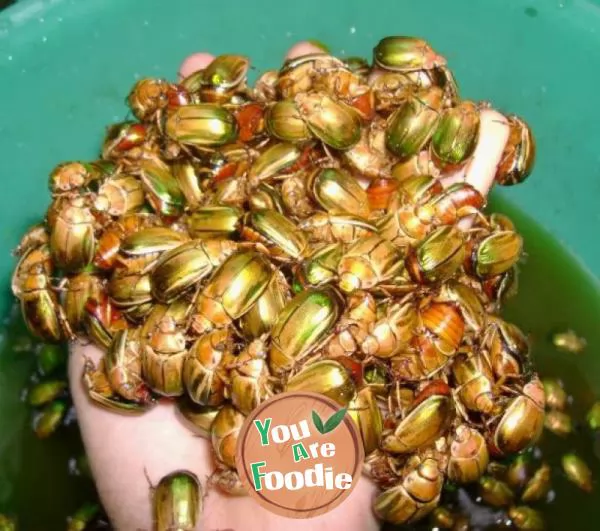 Stir fried insects