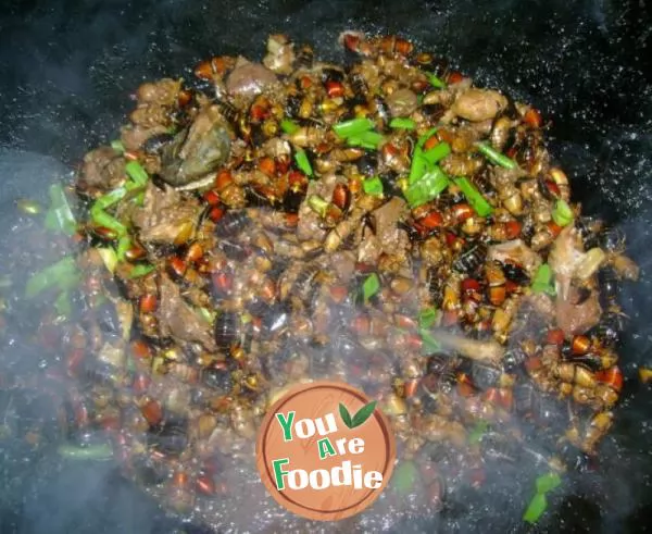 Stir fried insects