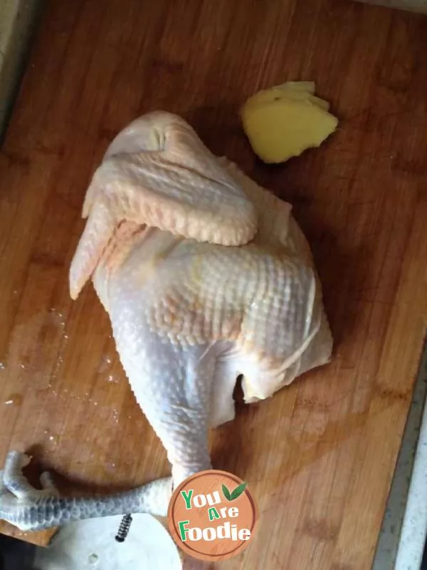 Plain chicken soup