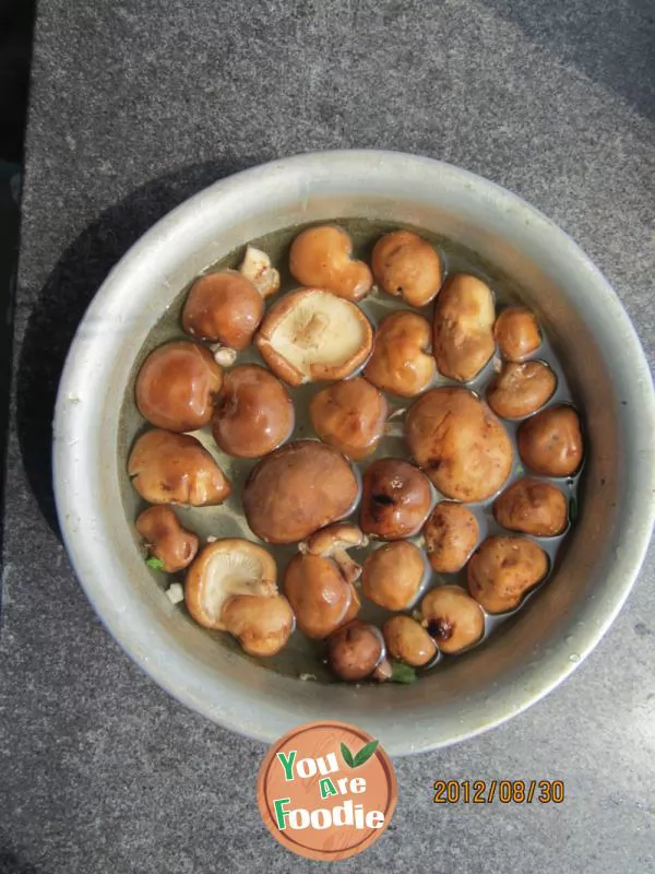Mushrooms rape