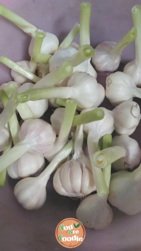 Pickled garlic