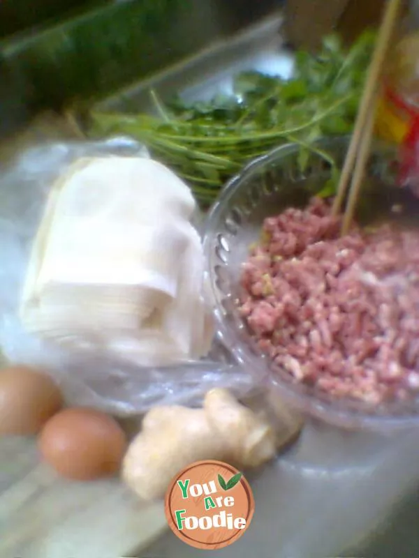 My home shredded egg wonton