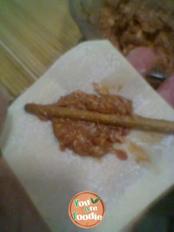 My home shredded egg wonton