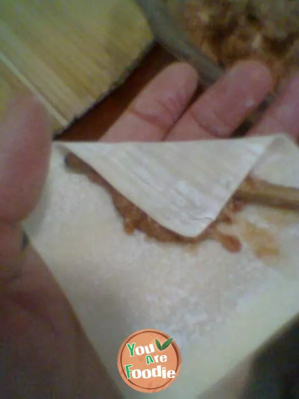 My home shredded egg wonton
