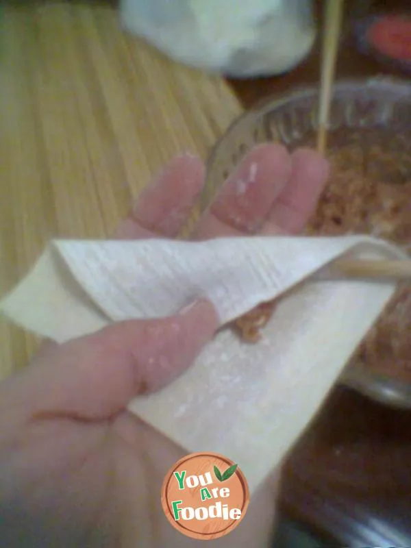 My home shredded egg wonton