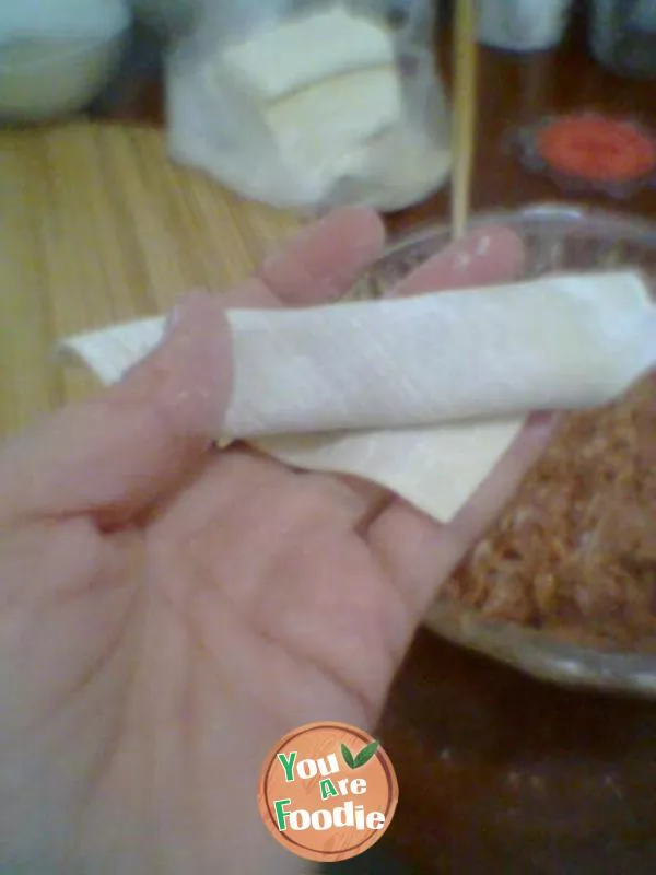 My home shredded egg wonton