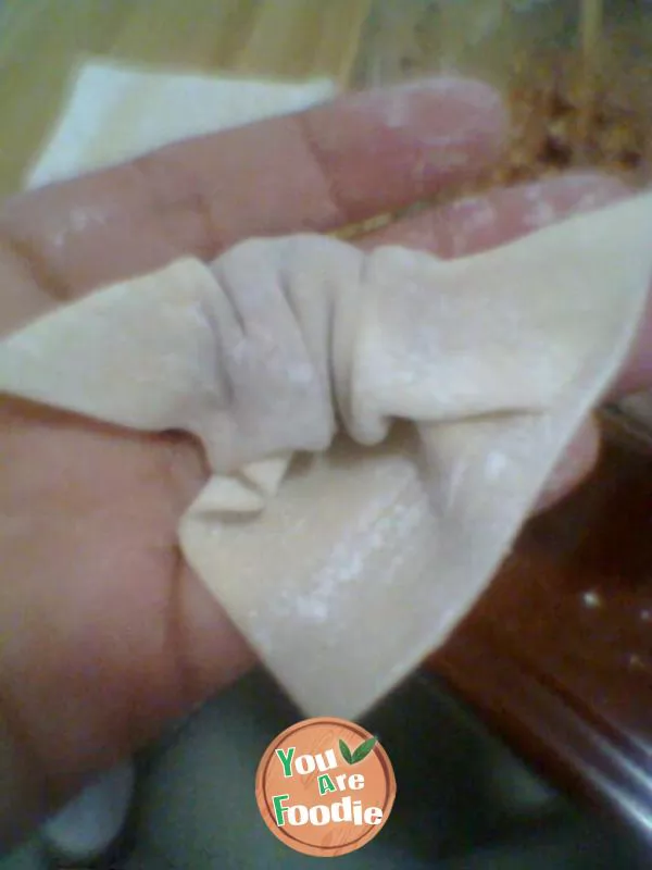 My home shredded egg wonton