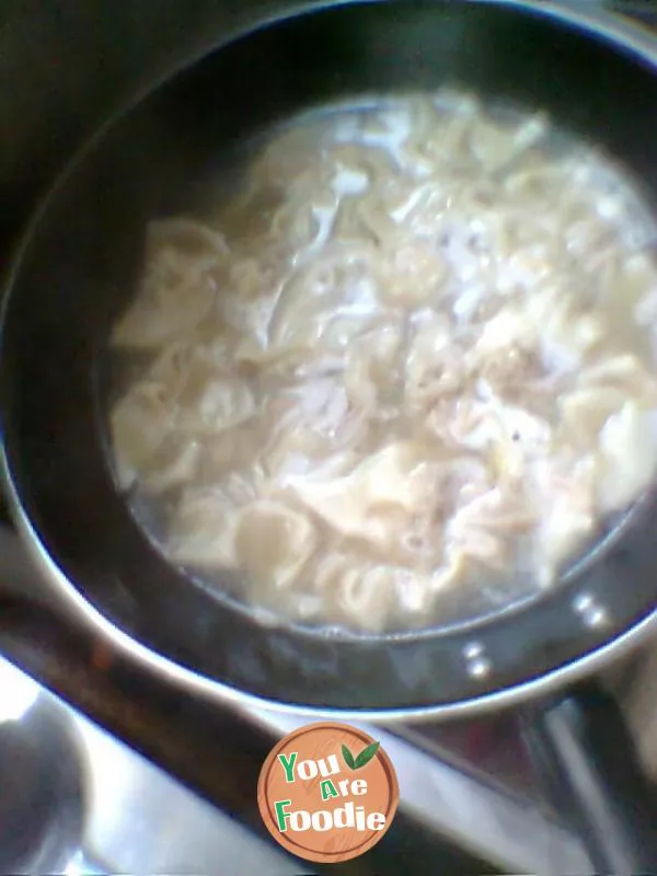 My home shredded egg wonton