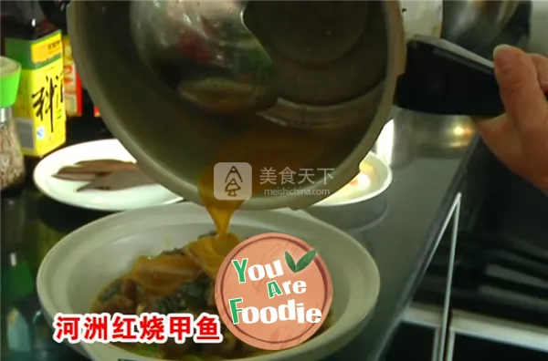 Braised turtle in brown sauce in Hezhou