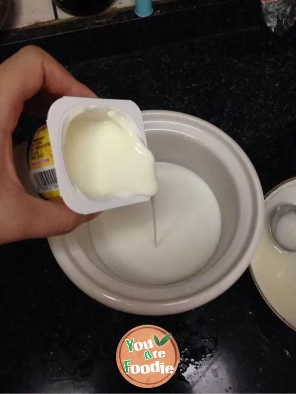 Yogurt (electric cooker version)