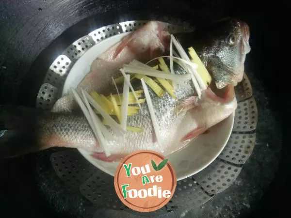 Steamed perch