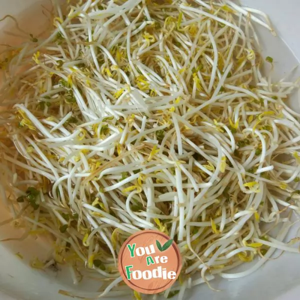 Bean sprouts with green pepper