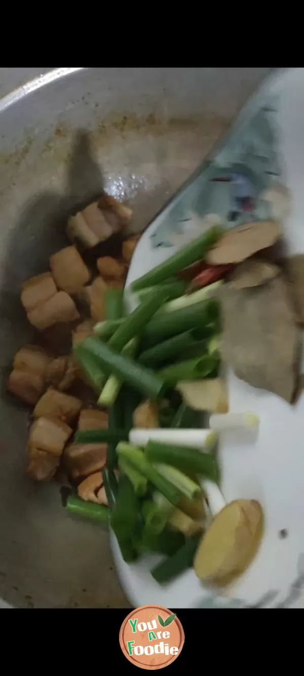braised pork in brown sauce