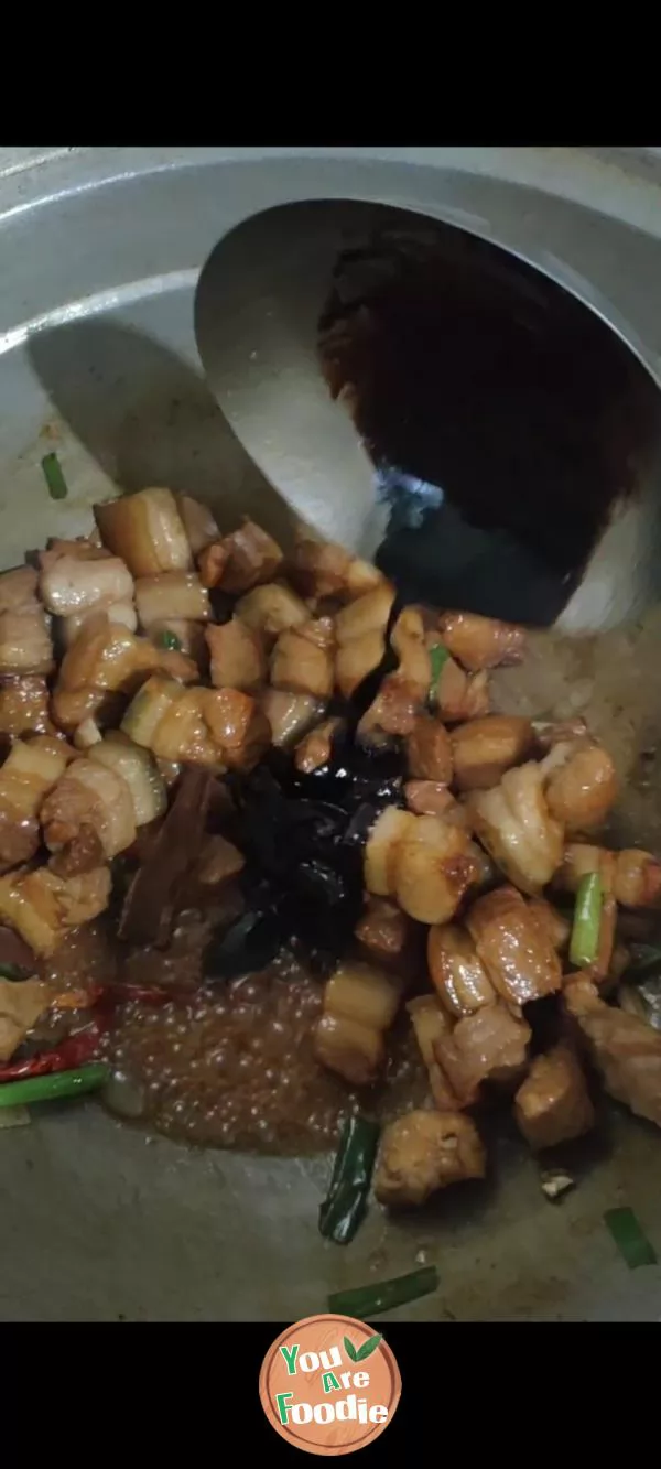 braised pork in brown sauce