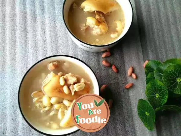 Stewed pig feet soup