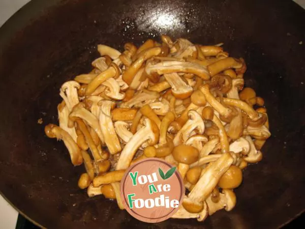 Fried meat with mushroom