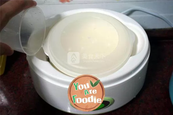 Freshly brewed silky yogurt