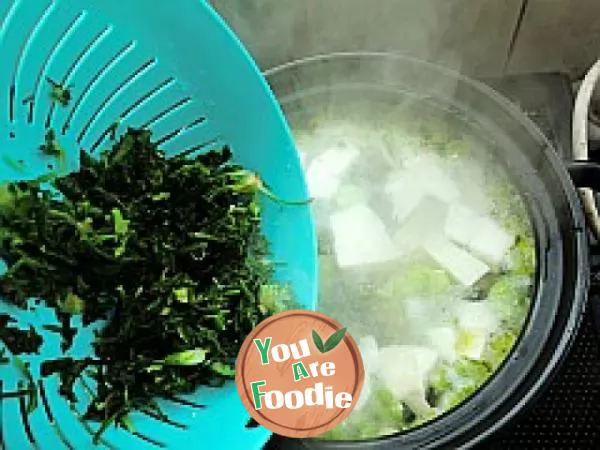 Shepherd's purse broad bean tofu soup