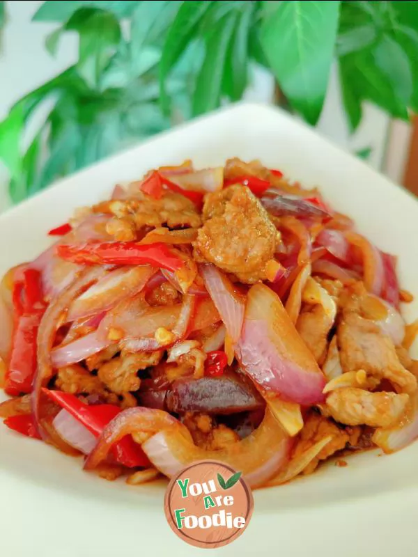 beef with onions 