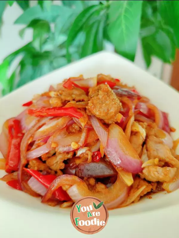 beef with onions