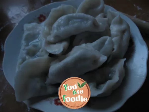 Dumplings-with-leek-and-egg