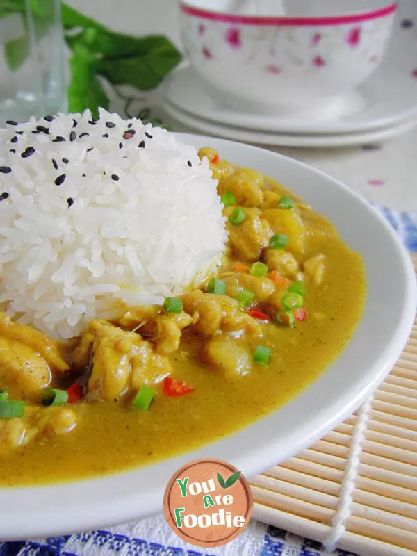 Indian curry diced chicken rice